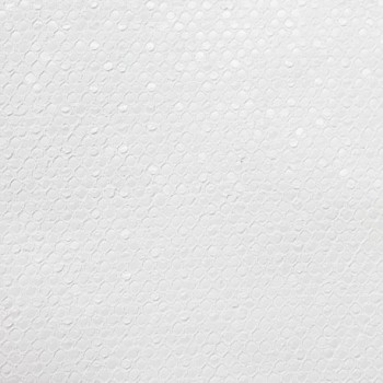 ADRIANI & ROSSI SCHLANGE HINTERGRUNDBILDER