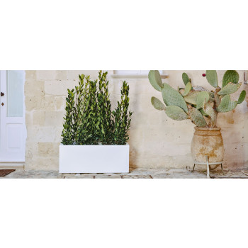 MEXIKO PFLANZ- UND CHAMPAGNER-KÜHLLEUCHTE MIT WIEDERAUFLADBARE LED 70009LED QEEBOO