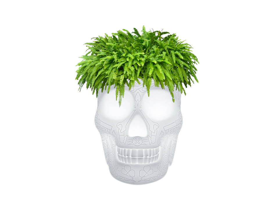 MEXIKO PFLANZ- UND CHAMPAGNER-KÜHLLEUCHTE MIT WIEDERAUFLADBARE LED 70009LED QEEBOO