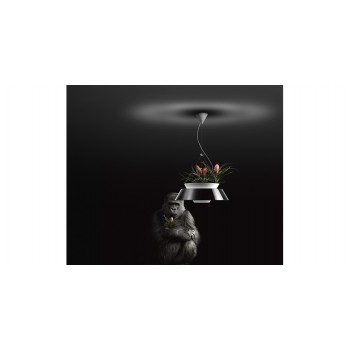 EDEN TORREMATO Pendelleuchte