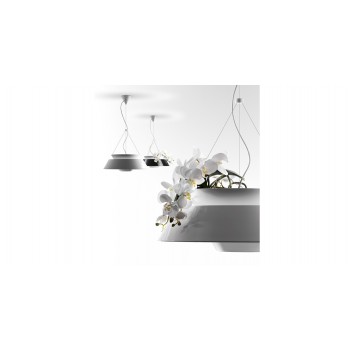 EDEN TORREMATO Pendelleuchte