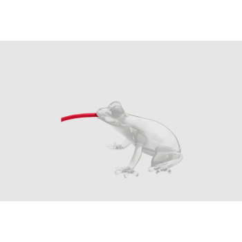 Hungrige Froschlampe QEEBOO