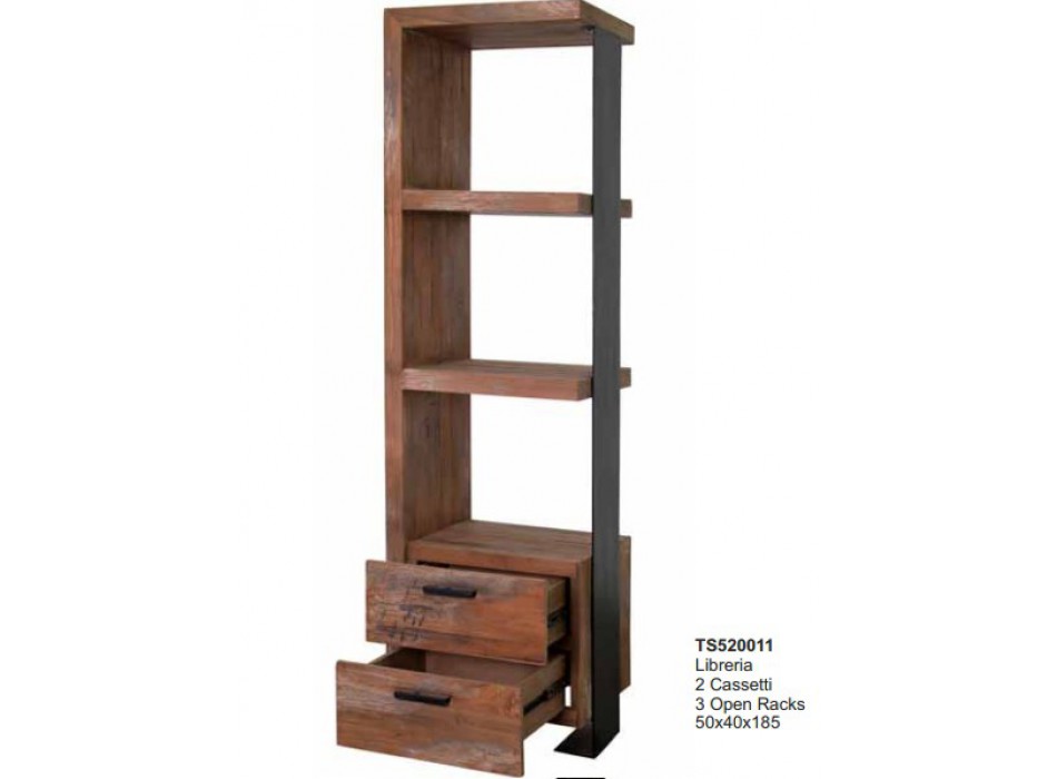 TS520011 BIBLIOTHEK IDI