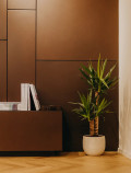 BOISERIE Siderio-Paneele