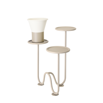 MIMOSA SCAB Bodenpflanzer