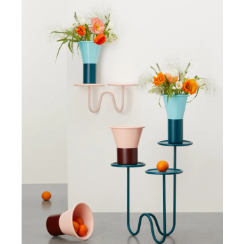 MIMOSA SCAB Bodenpflanzer