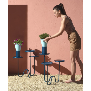 MIMOSA SCAB Bodenpflanzer