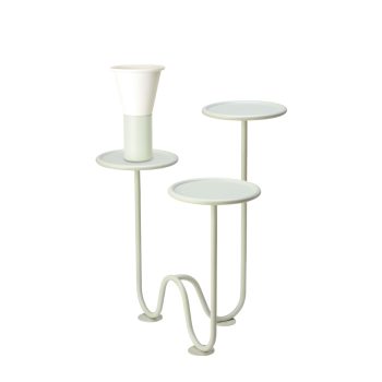 MIMOSA SCAB Bodenpflanzer