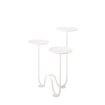 MIMOSA SCAB Bodenpflanzer