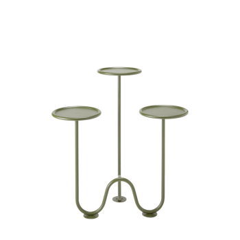 MIMOSA SCAB Bodenpflanzer