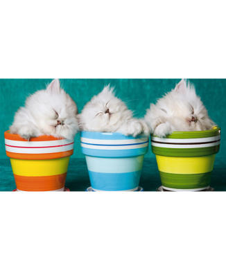 Rahmen 3 KÄTZCHEN G1590 PINTDECOR