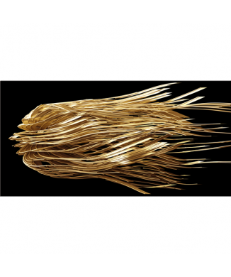 Bild 3D FILAMENTE G4788 PINTDECOR