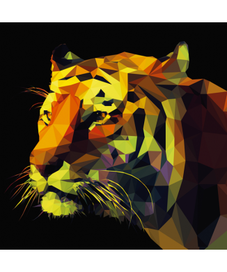 Rahmen ABSTRACT TIGER G1518 PINTDECOR