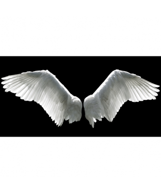 Rahmen ENGELSFLÜGEL G2216 PINTDECOR