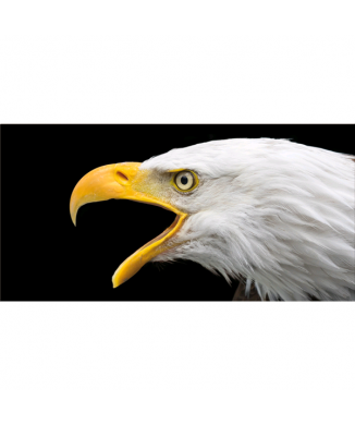 Rahmen EAGLE G5916 PINTDECOR