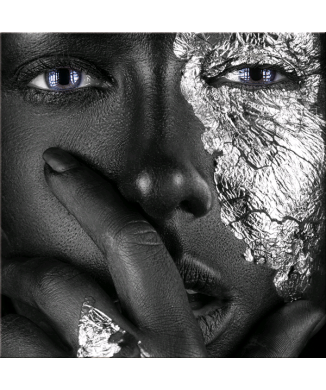 Bild SCHWARZ SILBER G4864 PINTDECOR