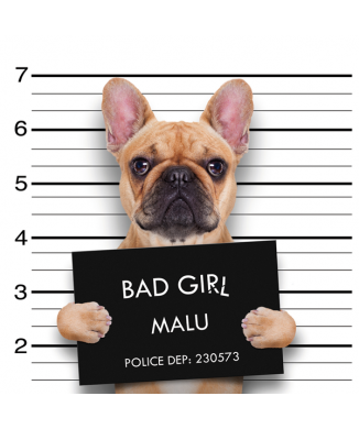 Rahmen BAD GIRL G2052 PINTDECOR