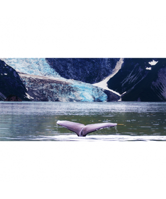 Rahmen WAL G1534 PINTDECOR