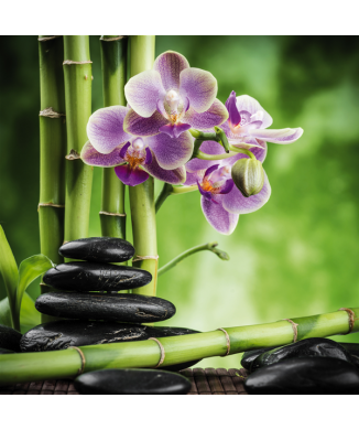 Rahmen BAMBUS G2246 PINTDECOR