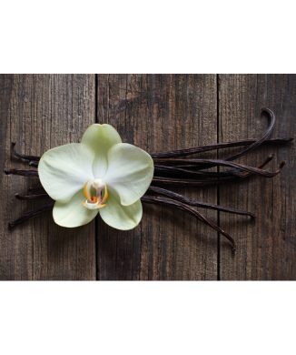 Bild VANILLA STICKS G1968 PINTDECOR