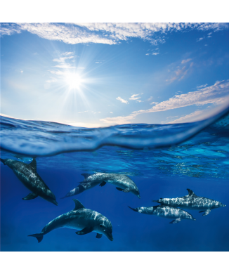 Rahmen BLUE SEA G3326 PINTDECOR