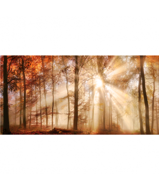 Rahmen BOSCO G5380 PINTDECOR