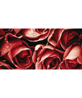 Rahmen ROTER BOUQUET G1092 PINTDECOR