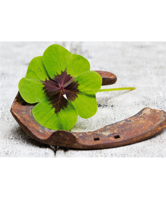 Rahmen VIEL GLÜCK G1948 PINTDECOR