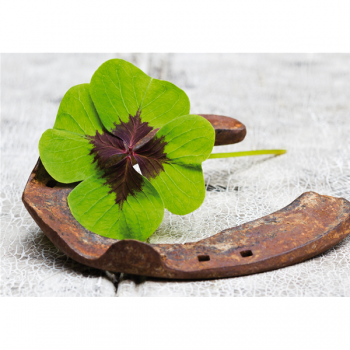 Rahmen VIEL GLÜCK G1948 PINTDECOR