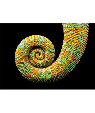 Rahmen CHAMÄLEON G3246 PINTDECOR