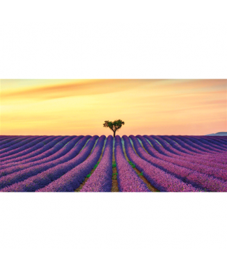 Rahmen INFINITE FIELDS G4138 PINTDECOR