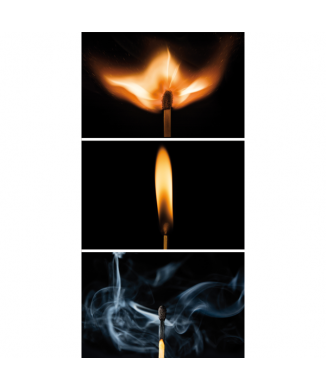 Rahmen CARPE DIEM G2504 PINTDECOR