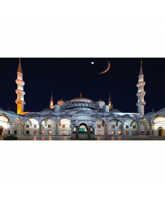 Rahmen VERZAUBERTES SCHLOSS G2156 PINTDECOR