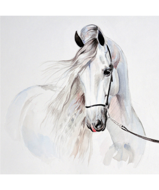 Rahmen WEISSES PFERD G2006 PINTDECOR