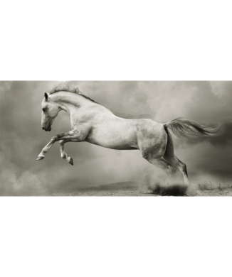 Rahmen LAUFENDES PFERD G2008 PINTDECOR