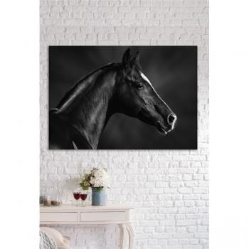 Rahmen PFERD SCHWARZ MAULKORB G1998 PINTDECOR