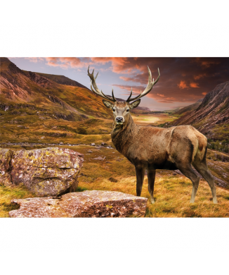 Rahmen HIRSCH G3272 PINTDECOR