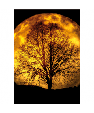 Rahmen MOONLIGHT G5786 PINTDECOR