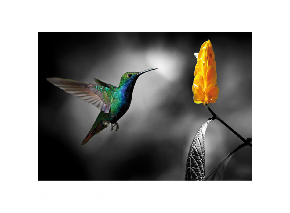 Rahmen COLIBRI 2 G3344 PINTDECOR