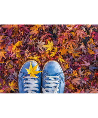 Rahmen HERBSTFARBEN G2982 PINTDECOR