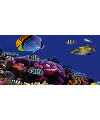 Rahmen CORALLI G1542 PINTDECOR