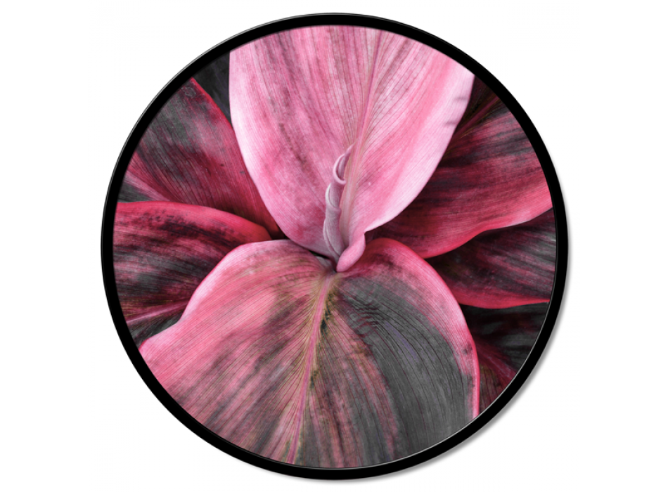 Rahmen BLUMENDETAIL GT6188 PINTDECOR