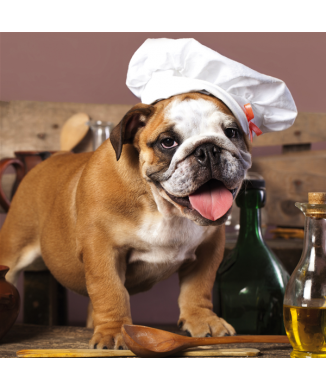 Rahmen DOG CHEF G2058 PINTDECOR