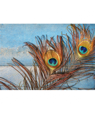 Rahmen ZWEI PFAUENFEDERN G4050 PINTDECOR