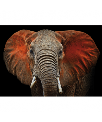 Rahmen ELEFANT G3276 PINTDECOR