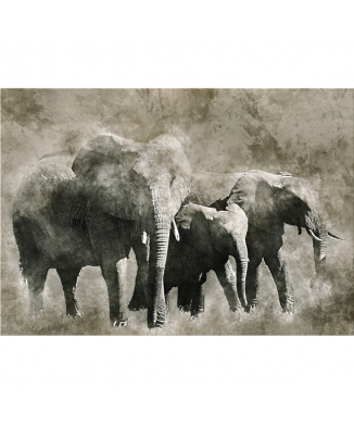 Rahmen ELEFANTEN G6004 PINTDECOR