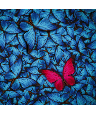 Rahmen MAGENTA SCHMETTERLING G2088 PINTDECOR