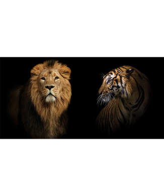 Rahmen FELINI G3280 PINTDECOR