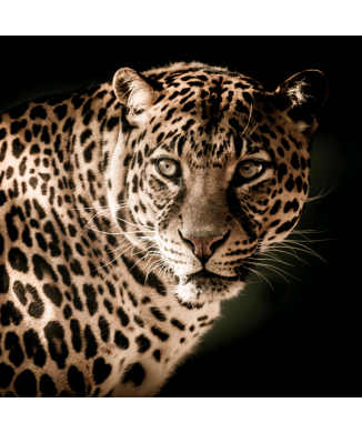 Rahmen FELIX G5744 PINTDECOR