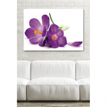 Rahmen LILA BLUME G1892 PINTDECOR